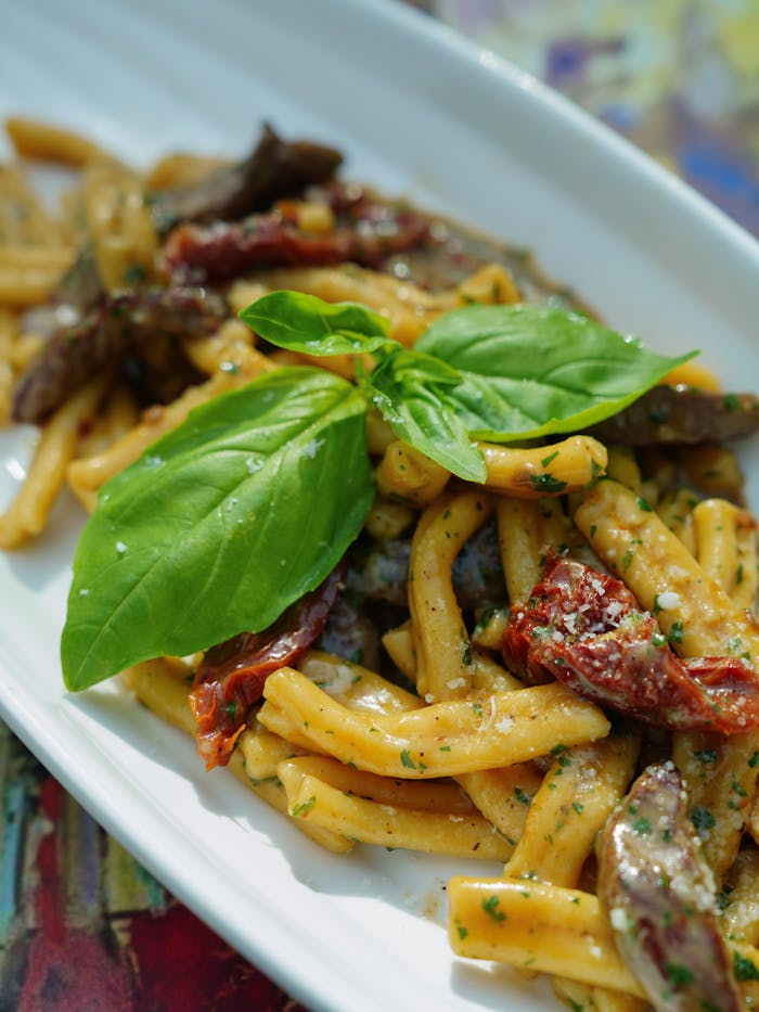 Pasta with Sun Dried Tomatoes and Basil